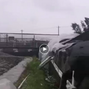 16���_�L�؄�(chu��ng)֮����ˮ�a(ch��n)�B(y��ng)ֳ�����܂�