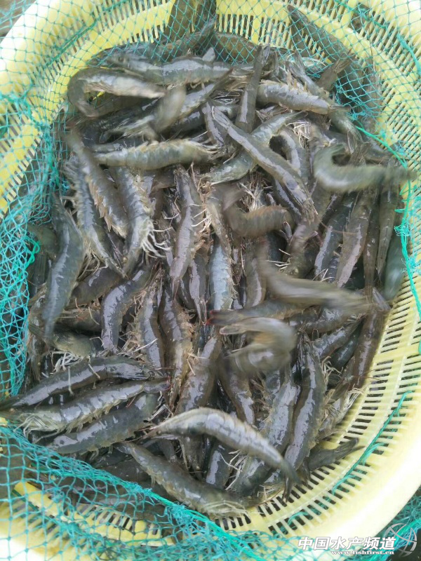 �B�rС�����ӡ�n�C��90��100��ٍ��100�f