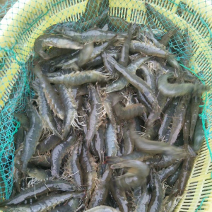 �B�rС�����ӡ�n�C��90��100��ٍ��100�f