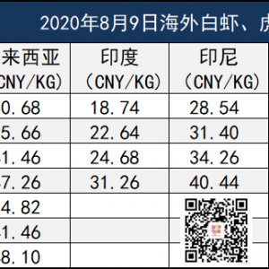 ��϶ࠖ�����r���S������֏͌��A����