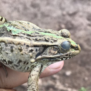 ����ڰ��ܵġ����^�����׃��ϡ��ί�Ч�����ԭ������Щ��