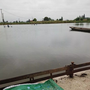 ����Ͽ��|�~�B(y��ng)ֳ�����oˮ��һ��