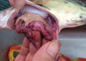 �ֳ��²����@Щ�Z�~����ԓ��η���