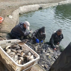 ���a�~����ȱ؛�����ͦ���ܷ��ٴα��l��