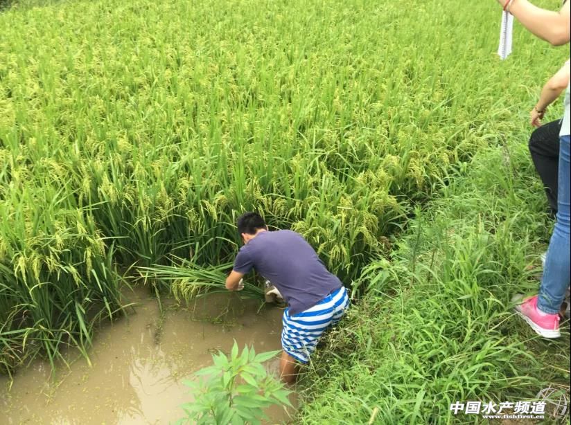 �Bֳ���]����߀����ô�B�~��