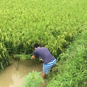 �B(y��ng)ֳ���]����߀����ô�B(y��ng)�~��