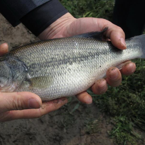 �r(ji��)���j��25Ԫ/�(chu��ng)������ߣ�֪�����W���~�����B(y��ng)ֳǰ���o�޿��ܣ�