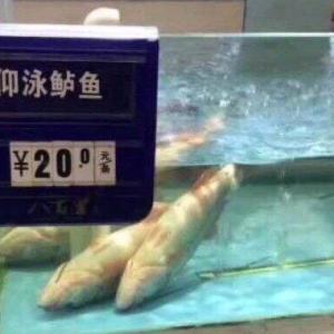 �|�~�� �^������Ӿ�|�~����ʲô����