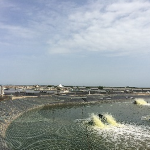 �����r��Bֳ�²��ʣ�߀�Ï�����ϵ�y���֣�