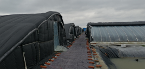 С������r�Bֳ���˽�һ��