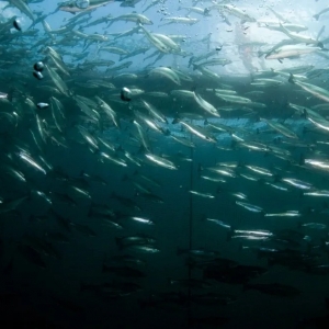 Ų�������~��δ_���\(y��n)ݔ�·��ȫ�ɿأ��@���������C�����ɺ��ԣ�