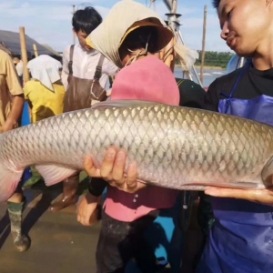 ȫ�����~�������wڅ�����Bֳ��ϧ���^��