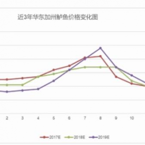 �����|�ߜؼ�����������