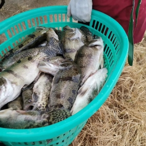 �����N���J�p50%���Z�~ȫ���µ����3Ԫ/�