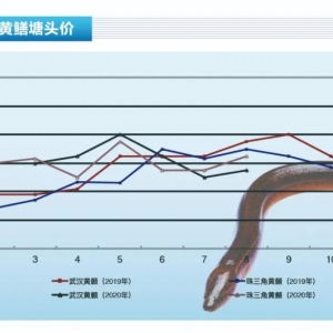 �S�X����ϯ�����~(y��)�r(ji��)�q����ߝq1-2Ԫ/�����ˮ�a(ch��n)ǰ�ء�2020��9�¿��Ј�(ch��ng)څ��(sh��)