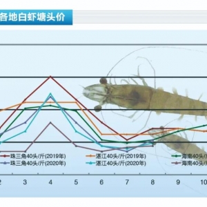 ���r��ȱ��Ҏ���r���ɏV�r�r��q������ˮ�aǰ�ء�2020��9�¿��Ј�څ��