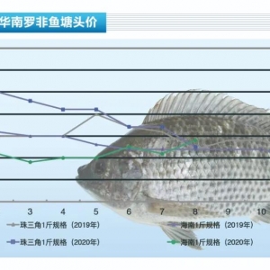 �_���~���Ј�ȱ���~���������鷀������������ˮ�aǰ�ء�2020��9�¿��Ј�څ��