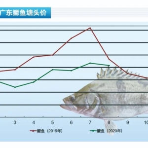 �Z�~����λ���䣬�ϝq����������ˮ�aǰ�ء�2020��9�¿��Ј�څ��