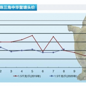 ���~�����M��ή�s�������Ѓr�o�С�����ˮ�aǰ�ء�2020��9�¿��Ј�څ��