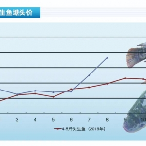 ���~�������q�r���~�r���䣬������ͣ��������ˮ�a(ch��n)ǰ�ء�2020��9�¿��Ј�څ��