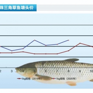 ���~�����~���������»������~ȱ؛���п��q������ˮ�aǰ�ء�2020��9�¿��Ј�څ��