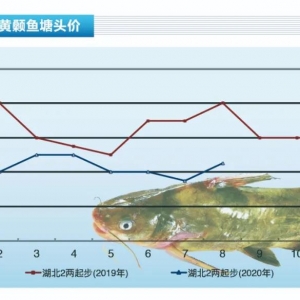 �S��~���ߜ��\ݔ�L�U�ߣ����~܇�p�كr�µ�������ˮ�aǰ�ء�2020��9�¿��Ј�څ��