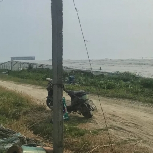 ģʽ�������������B(y��ng)ֳЧ��Ŀ������L��ֵ�ÌW(xu��)��(x��)