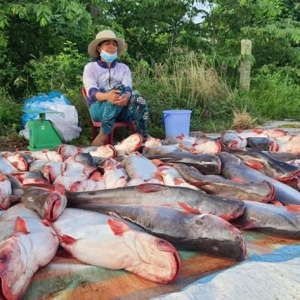 ��10�|��Ԫ���~������֣��@�l�~���׽��v��ʲô