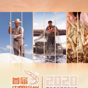 �r���S�չ����I�ݺ��������}���r����