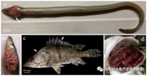 �Z�~ȫ���������ƌW�����Ѿ��衰�¼����x����