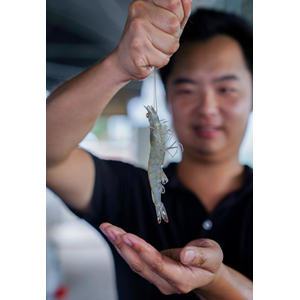 ţ��90��С�(chu��ng)�I(y��)�㹤�S����ˮ�B(y��ng)ֳ�����׌�(du��)�r����ĳ��ˣ�