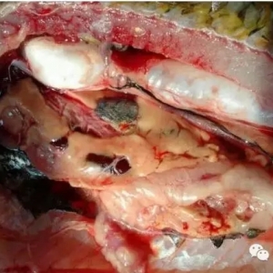 ˮ�a�����A���u����С�İ�¶���ɡ���¶�١�