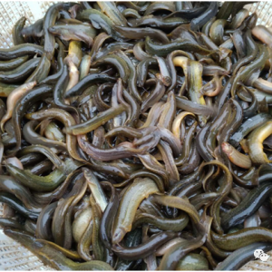 ���г��~+�����_�������qһ��̝3Ԫ