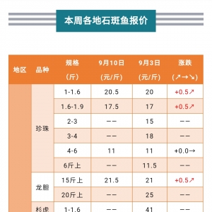 ʯ���~���鿂�w�ַ�������С�����ٝq0.5Ԫ��