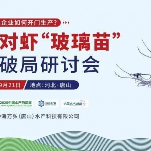 �ٴξ۽��������硱�������(ch��ng)����(bi��o)�ֈ�(ch��ng)������ô��