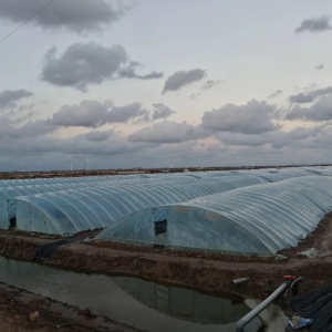 �����s�����ɿء�����Ч��ɽ�|С���B�r����