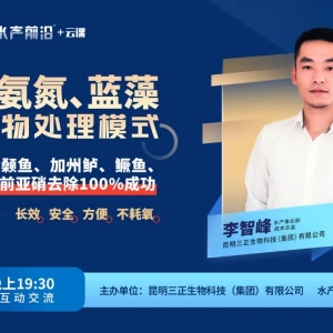 �����}�׷������������׳��F(xi��n)�ж����@Щ��(w��n)�}���ص׽�Q��������ʲô��Ч������