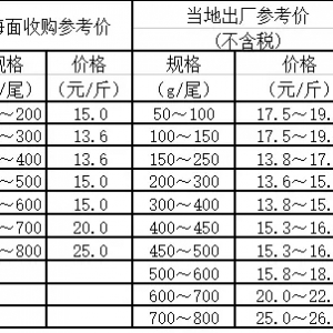 2020��09��17�մ��S�~����