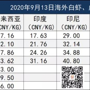 ���rԭ�σr�����w��40/50ÿ���ﱩ�q0.6$��