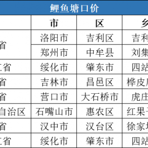 ���r4.73Ԫ/�2020��9�µ�4�����~һ�����ڃr�񲥈�