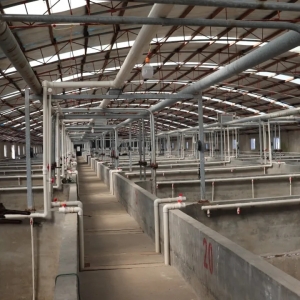 �����r�磬�ɞ��˭h(hu��n)�����؅^(q��)���ܶ��B(y��ng)ֳ�����F