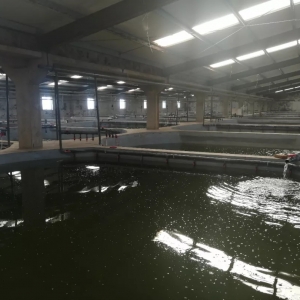 ���S���B(y��ng)�r����Ҏ(gu��)�����ӿڌ�(du��)�r�B(y��ng)ֳӭ��(l��i)�°l(f��)չ