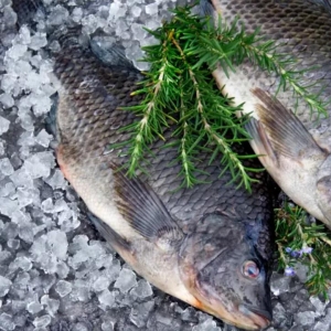 �����µ�ȫ���_���~�a(ch��n)�I(y��)�F(xi��n)����Σ�