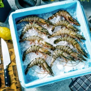 �¼��g׌�����؟o̎����