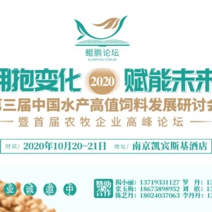 �l�ǡ�2020���ˮ�a(ch��n)�����߄�(chu��ng)���ͮa(ch��n)Ʒ����