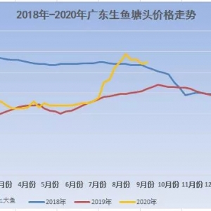 �S��~�p�����M��ʢ����ˬ�в�ˬ�r��