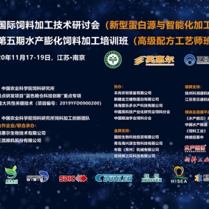 �ذ���һ��һ��ȫ����Ͻ��ʢ��(hu��)�ց��u��11����s���K�Ͼ�