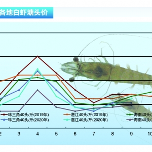 ���r�����r��λ�S������С�r�ȝq�ٵ�������ˮ�aǰ�ء�2020��10�¿��Ј�څ��