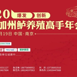 ��2020�Ї������|�a�I��Ȱ��u�x��ʽ������