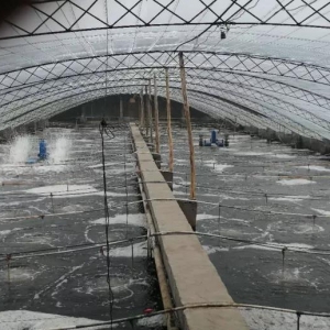 1000���B(y��ng)�r�����ٍ3000�f(w��n)��